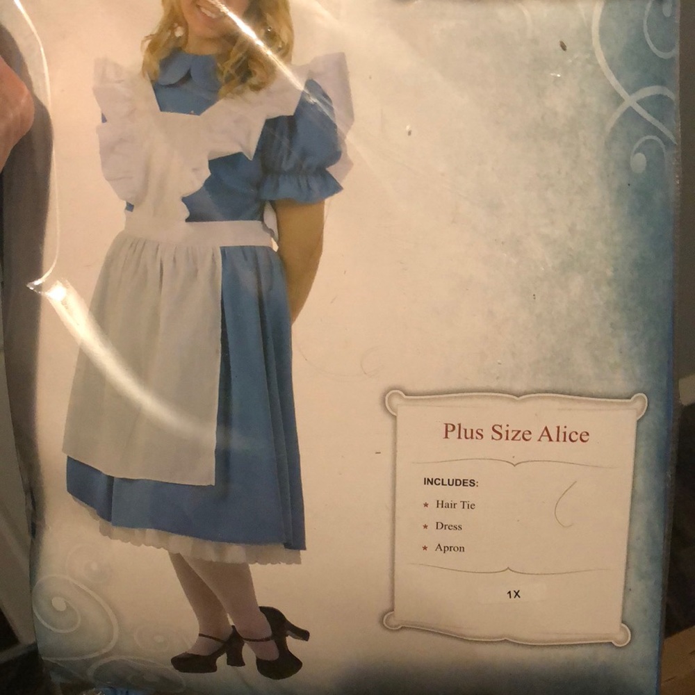 Alice in wonderland costume